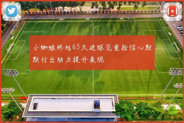 小蜘蛛终结65天进球荒重拾信心默默付出助力提升表现
